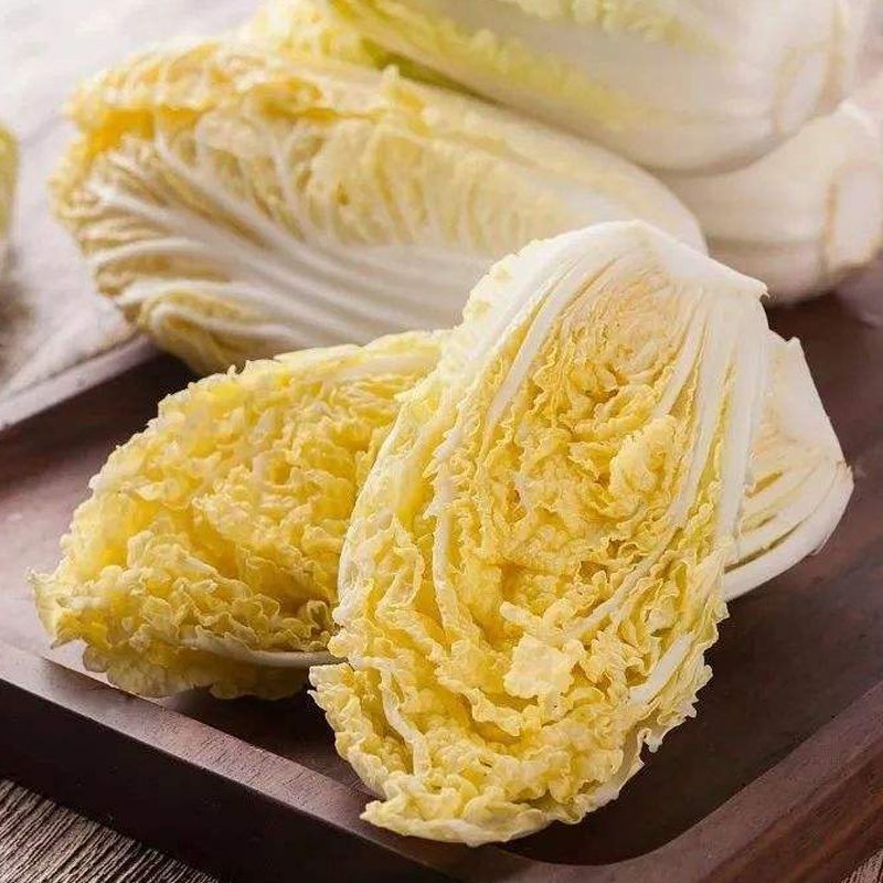 大娃娃菜苗小娃娃菜苗黄心娃娃菜苗免费技术指导包回收