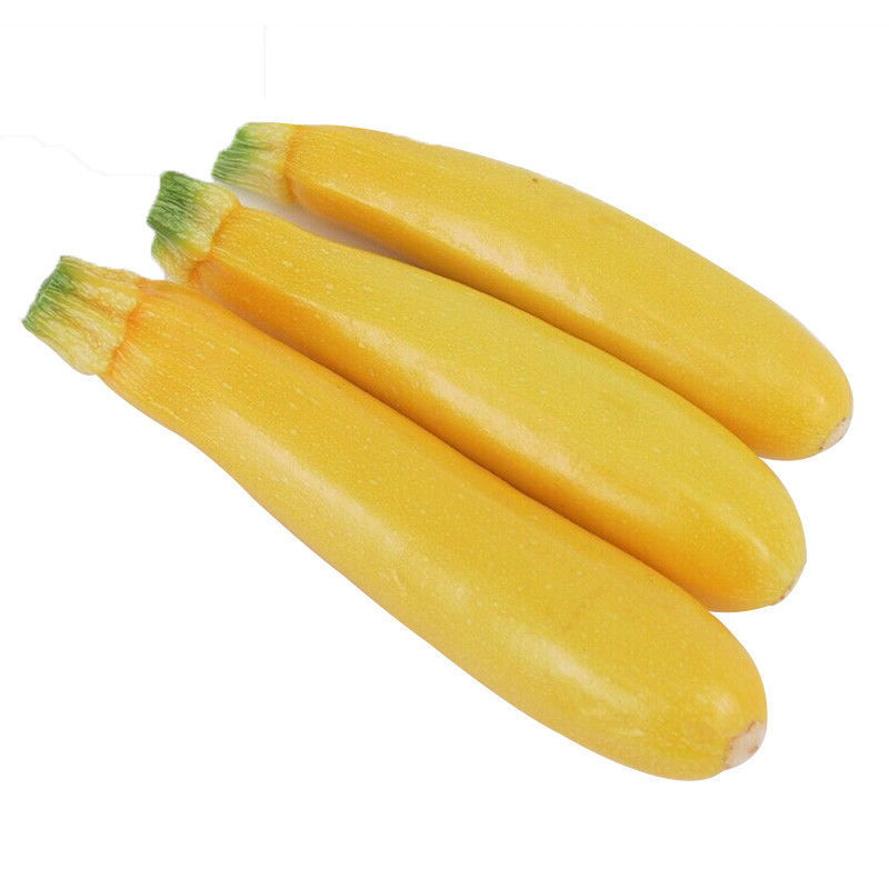 绿皮西葫芦苗法拉利西葫芦苗法拉帝绿盛西葫芦嫁接苗包回收