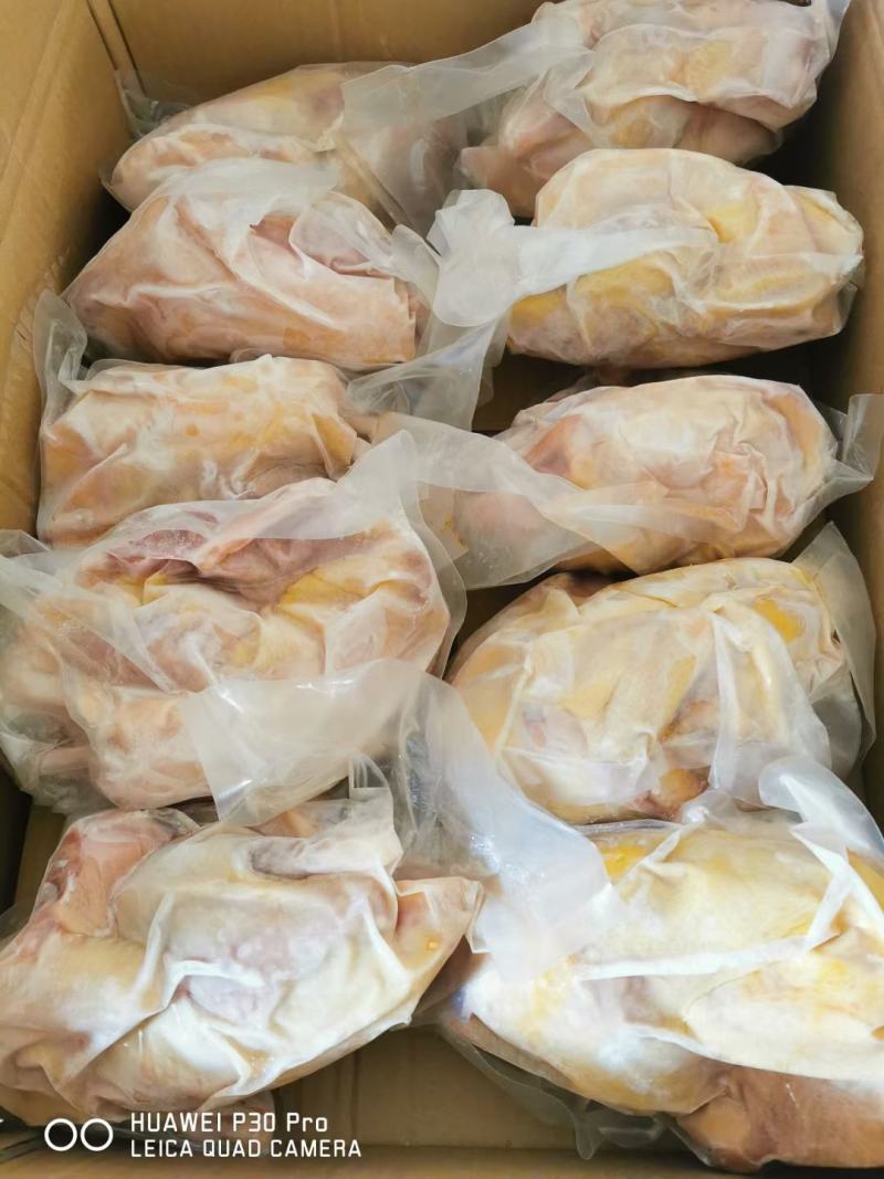 电商专用老母鸡