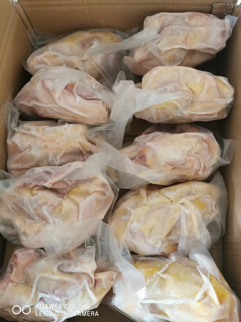 电商专用老母鸡