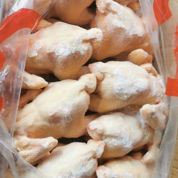 一级三黄鸡白条