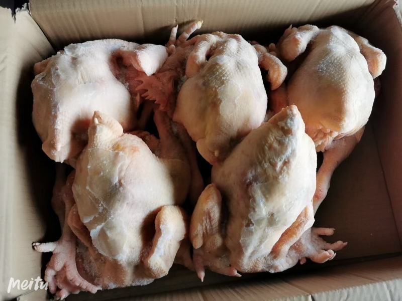 一级三黄鸡白条