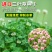 红白三叶草种子花籽四季常绿牧草籽多年生易活果园绿肥植物