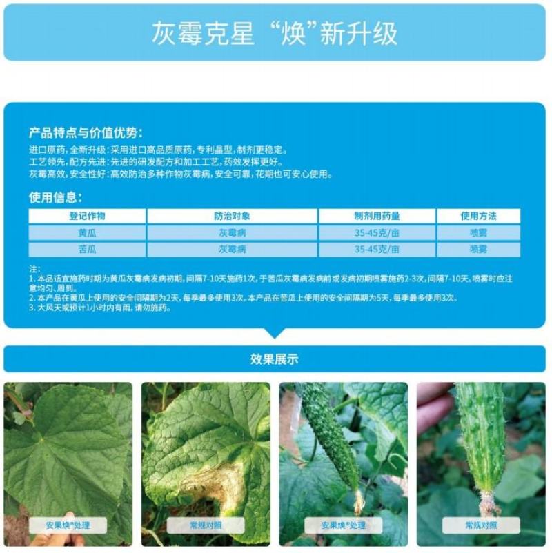 安道麦安果焕50%啶酰菌胺黄瓜灰霉病菌核病杀菌剂
