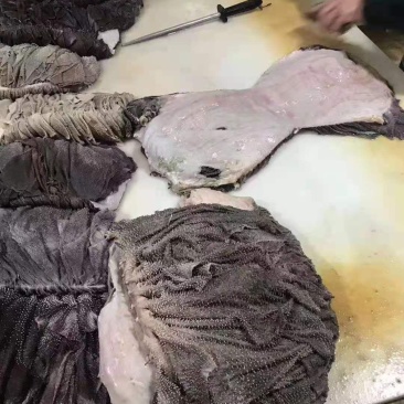 无冰无水牛百叶，精修去地板油