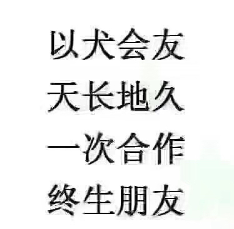 拉布拉多犬聪明可爱公母都有品种纯正检疫合格价格实惠