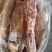 带骨后胸，乌拉圭12厂产品，质量好，瘦度高，适合餐厅炖煮