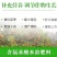 氨基酸锌硼钾钙铁镁肥全营养叶面肥花肥膨果壮苗生根