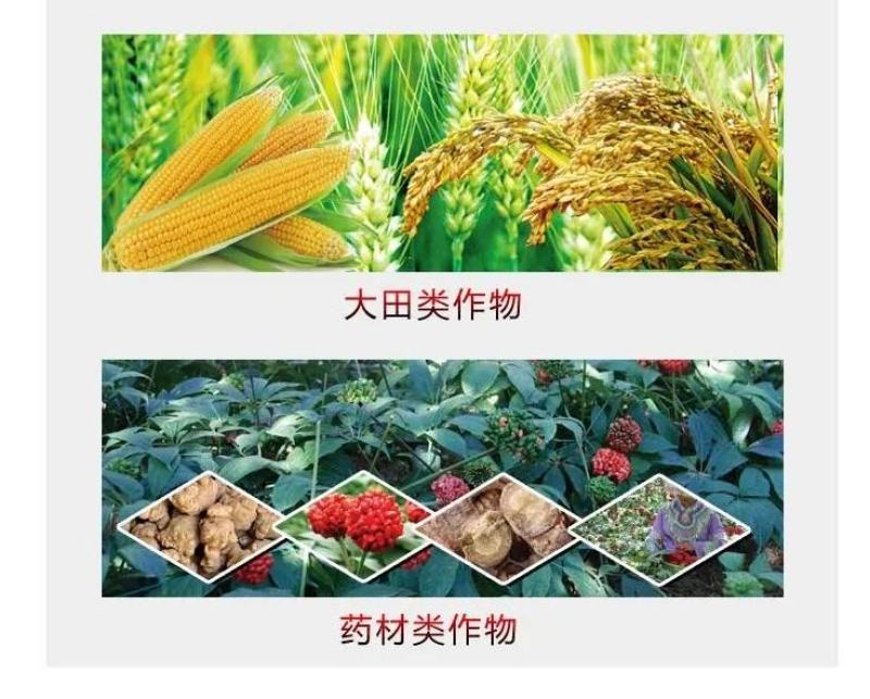 氨基酸锌硼钾钙铁镁肥全营养叶面肥花肥膨果壮苗生根