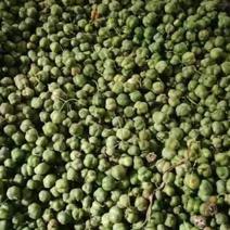 黄精新鲜种子，黄精带皮种子价格30-40一公斤一手货源
