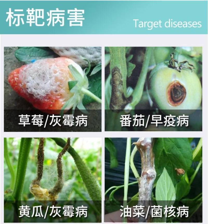 德国巴斯夫凯泽50%啶酰菌胺灰霉病早疫病杀菌剂