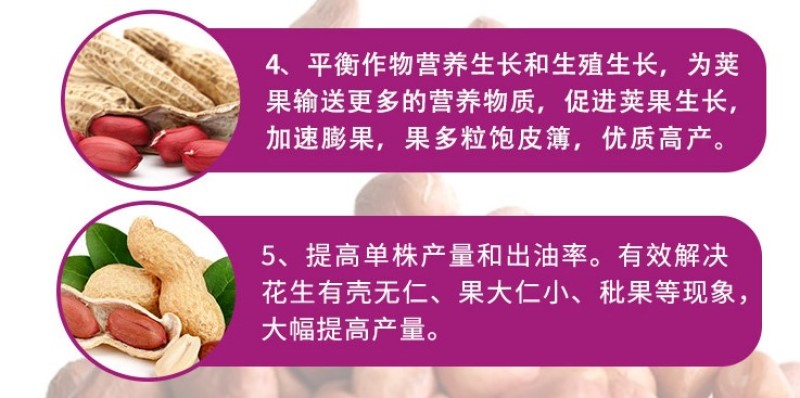 白胖墩花生膨果增白剂花生窝窝多粒粒饱高产膨大叶面肥