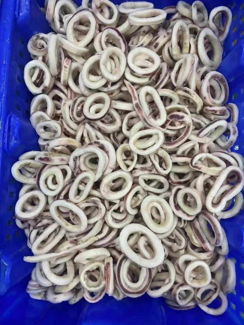 鱿鱼圈