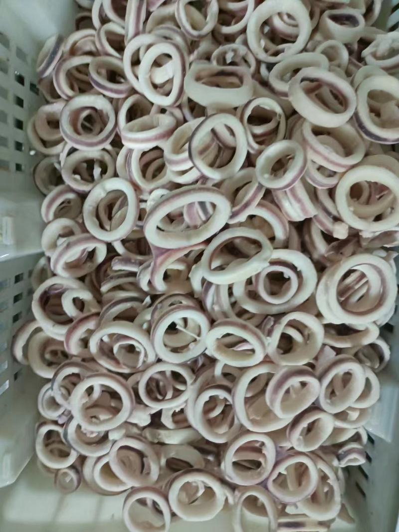 鱿鱼圈