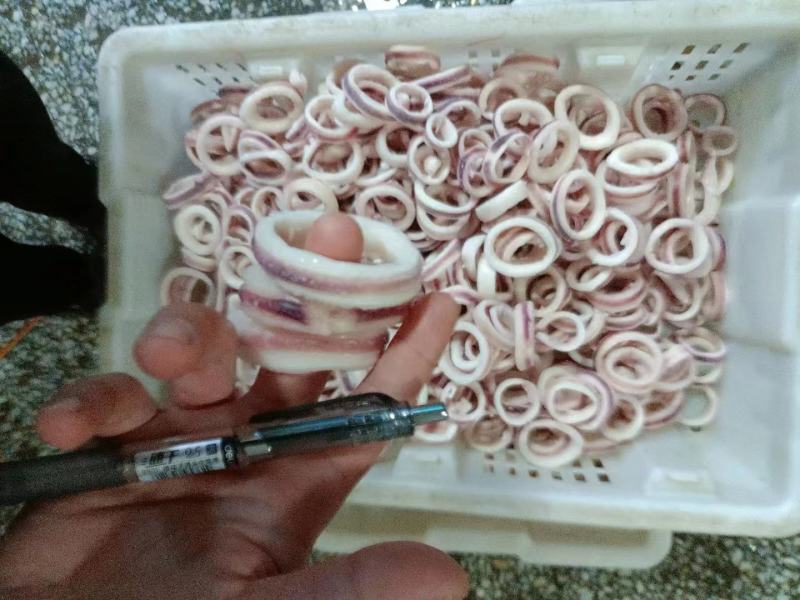 鱿鱼圈