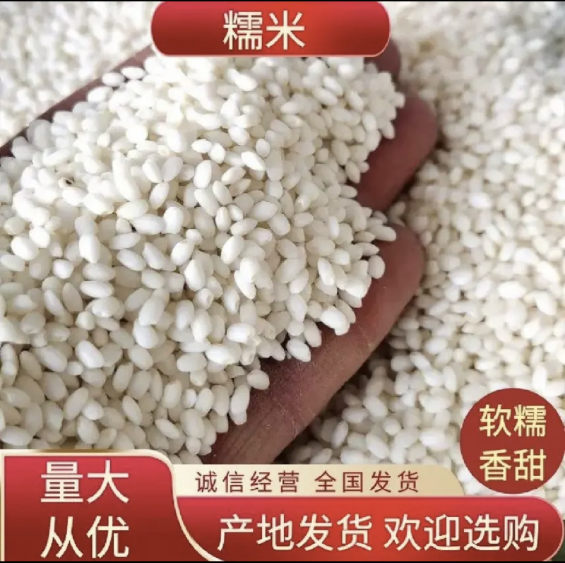 糯米厂家现货供应长粒糯米粘糯米圆糯米量大从优