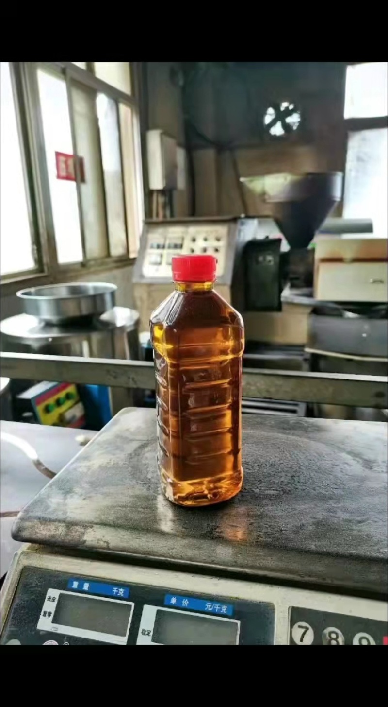 菜籽种植基地现货供应黑菜籽黄色油质黄菜籽