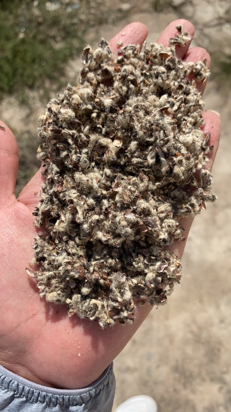 （精选好货）棉籽壳中绒中壳压缩包装现货供应