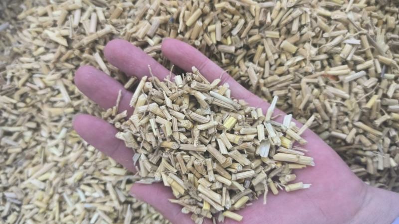 白茅根白茅根干水洗优质白茅根地道中药材白茅根