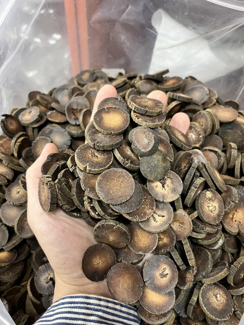 【化橘红大货批发】正宗正金毛化州橘红，产地优势货源