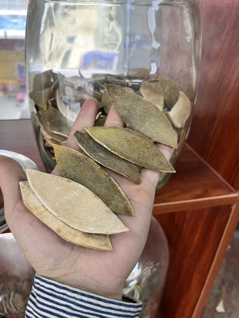 【化橘红大货批发】正宗正金毛化州橘红，产地优势货源