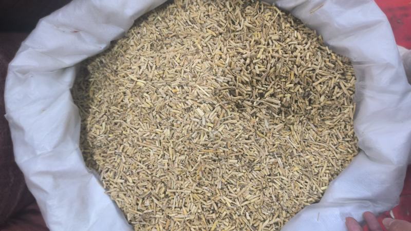 白茅根白茅根干水洗优质白茅根地道中药材白茅根