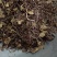 紫菀中药材紫菀各种规格批发零售紫菀量大优惠