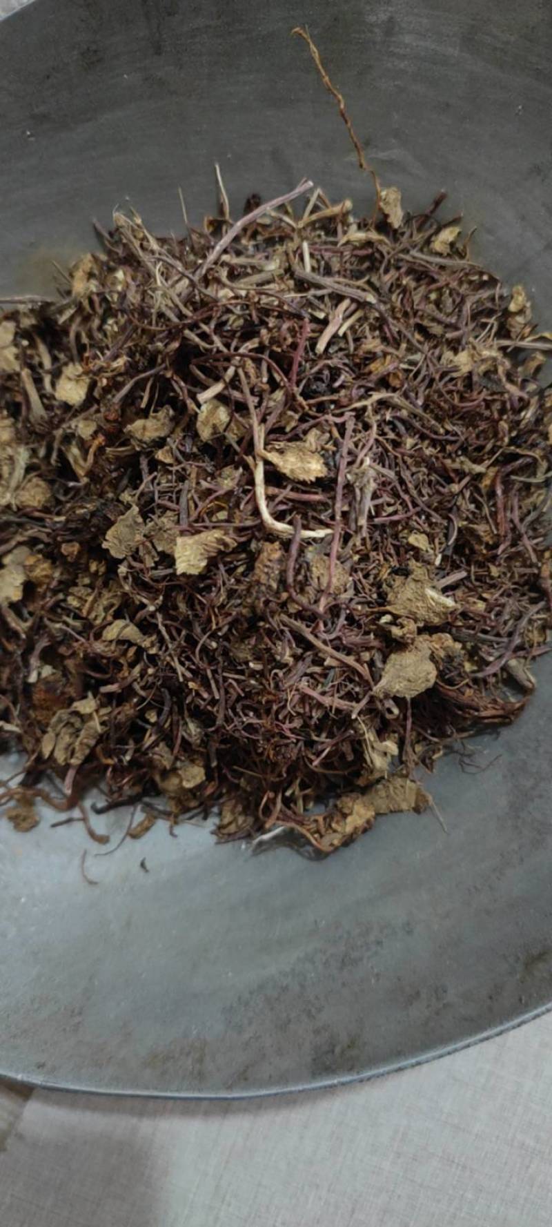 紫菀中药材紫菀各种规格批发零售紫菀量大优惠