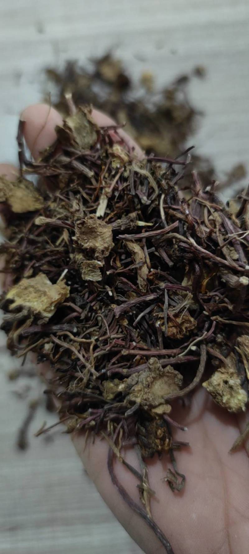 紫菀中药材紫菀各种规格批发零售紫菀量大优惠
