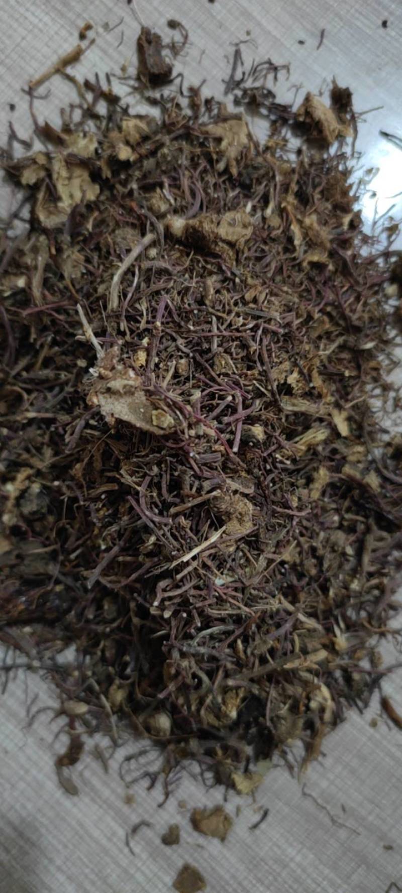 紫菀中药材紫菀各种规格批发零售紫菀量大优惠