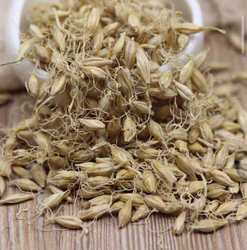 生麦芽炒麦芽中药材大麦芽无硫干货现货批发