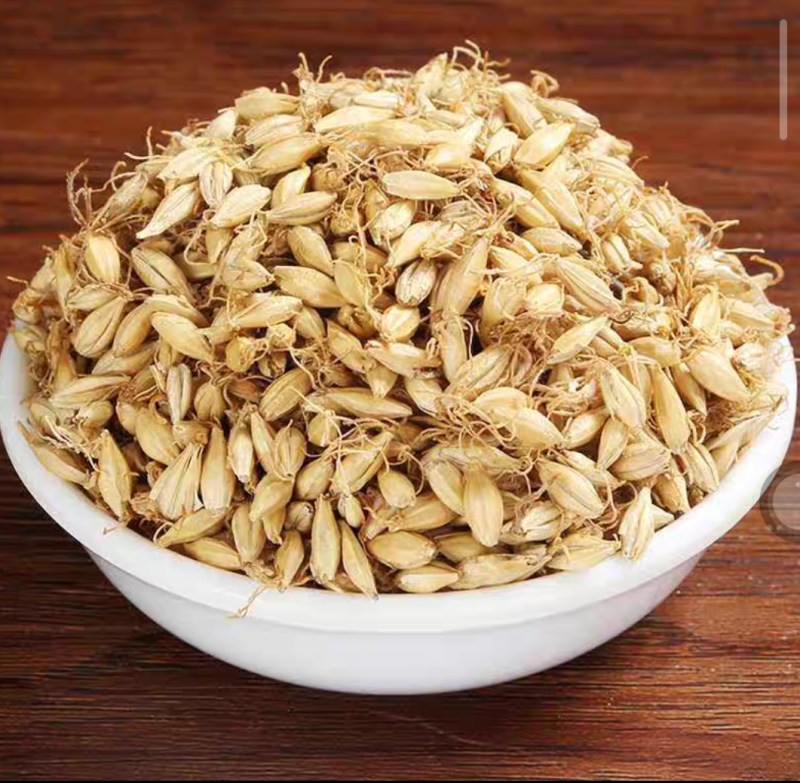 生麦芽炒麦芽中药材大麦芽无硫干货现货批发