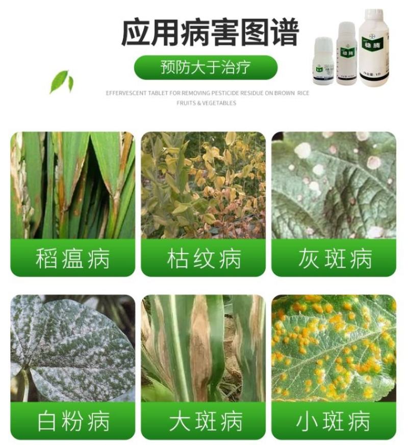 拜耳稳腾肟菌戊唑醇稻曲病稻瘟病赤霉病纹枯病杀菌剂