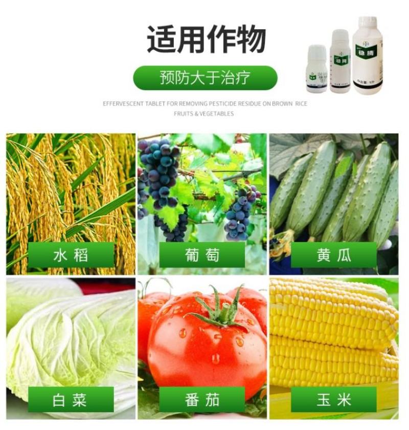 拜耳稳腾肟菌戊唑醇稻曲病稻瘟病赤霉病纹枯病杀菌剂