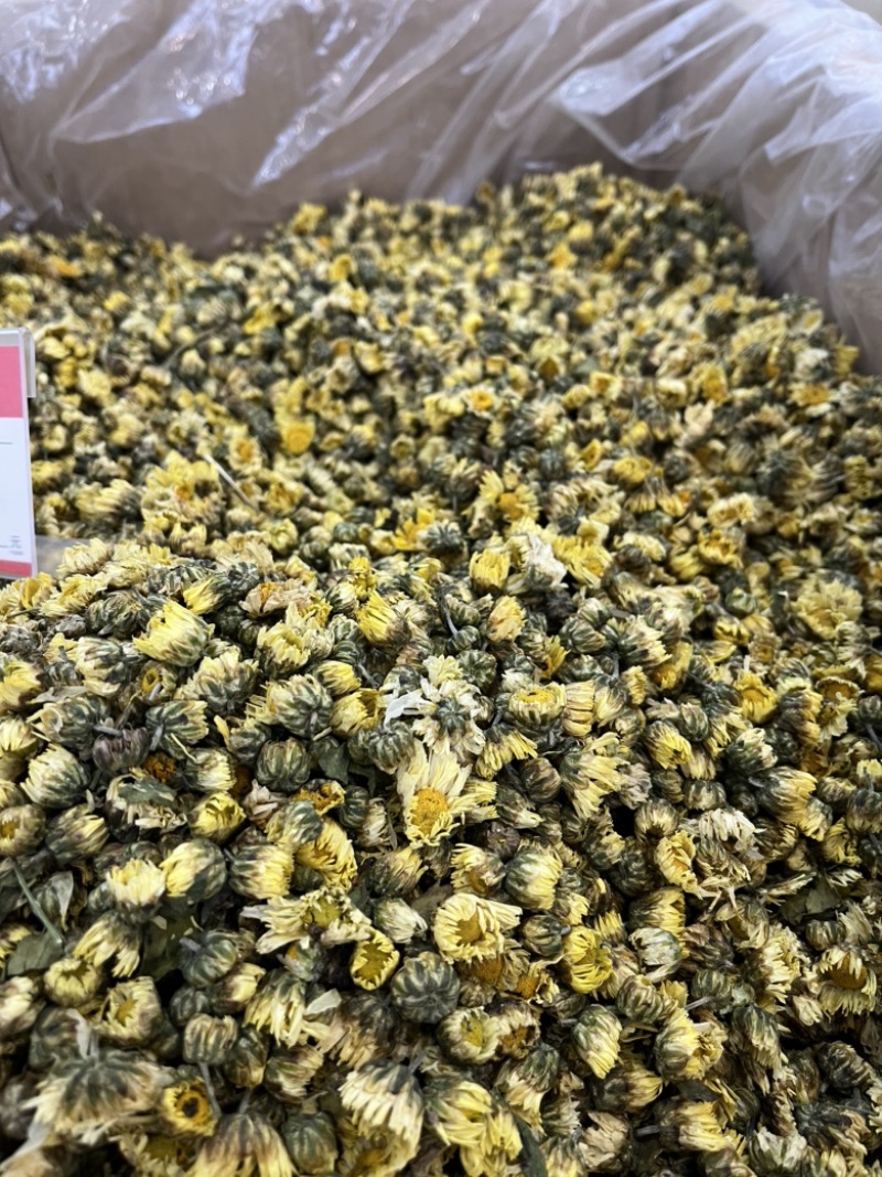 菊花胎菊大货大货批发手选货杭白菊花黄菊花甘菊花