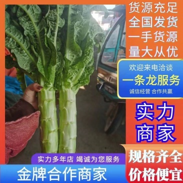 山东红尖叶莴笋莴苣无裂痕无空心！无病斑货源充足产地直发