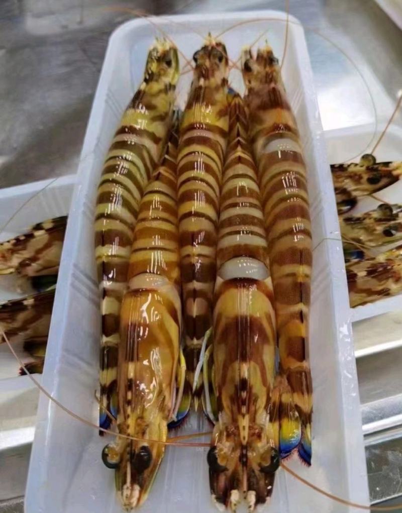 【优选】盒装斑节虾海鲜现货量大支持电商代发
