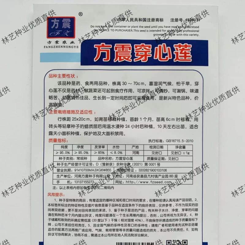 菜用穿心莲种子养生保健菜阳台盆栽保健四季播蔬菜种子