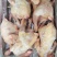 中德三黄鸡