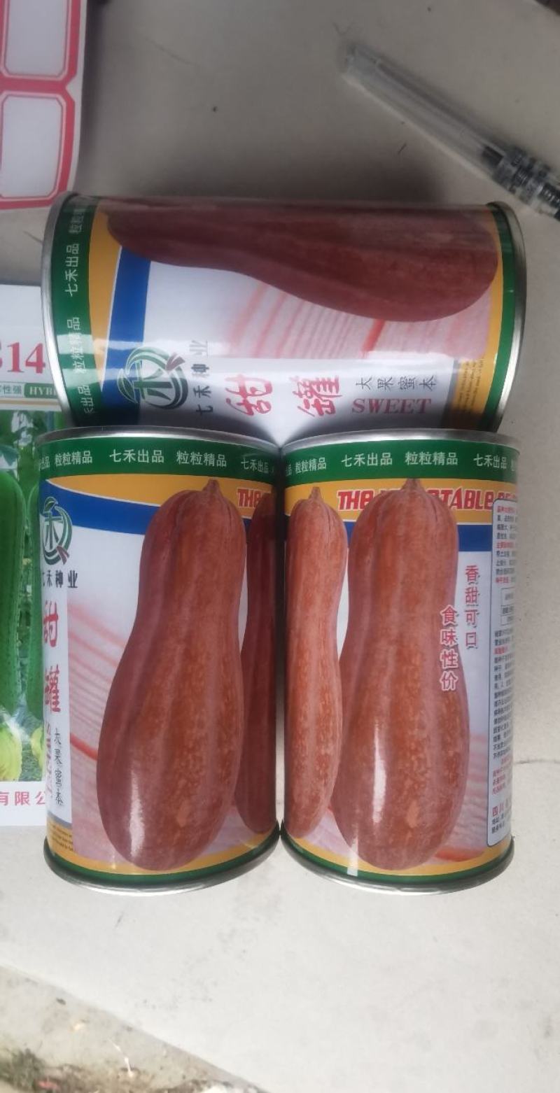蜜本南瓜种子甜罐早熟果型好味甜面产量高香甜面好吃