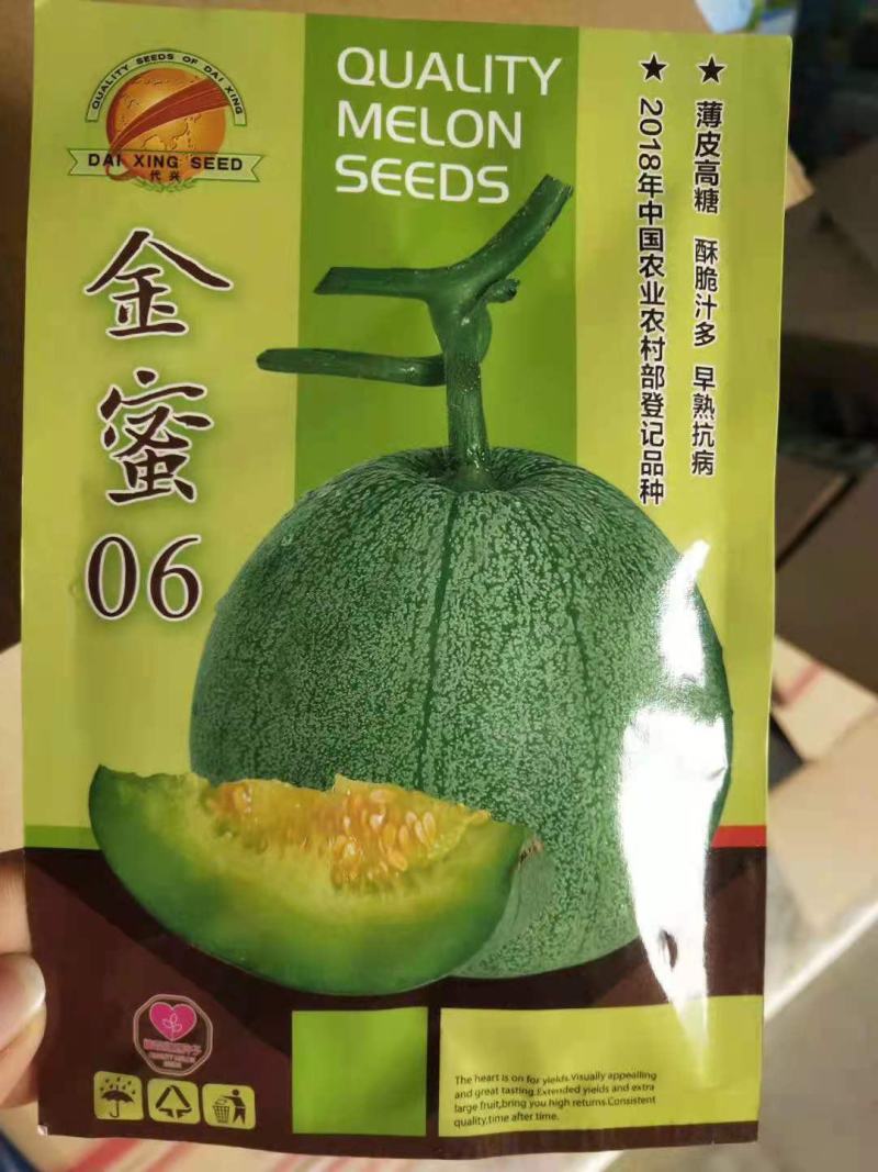 金蜜06甜瓜种子早熟薄皮杂文绿皮绿肉抗病含糖20度口感酥