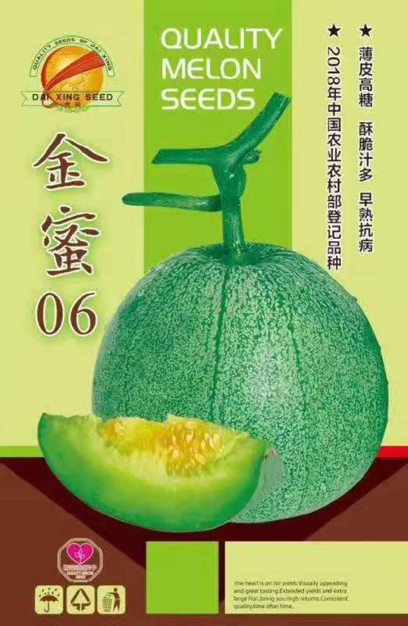 金蜜06甜瓜种子早熟薄皮杂文绿皮绿肉抗病含糖20度口感酥