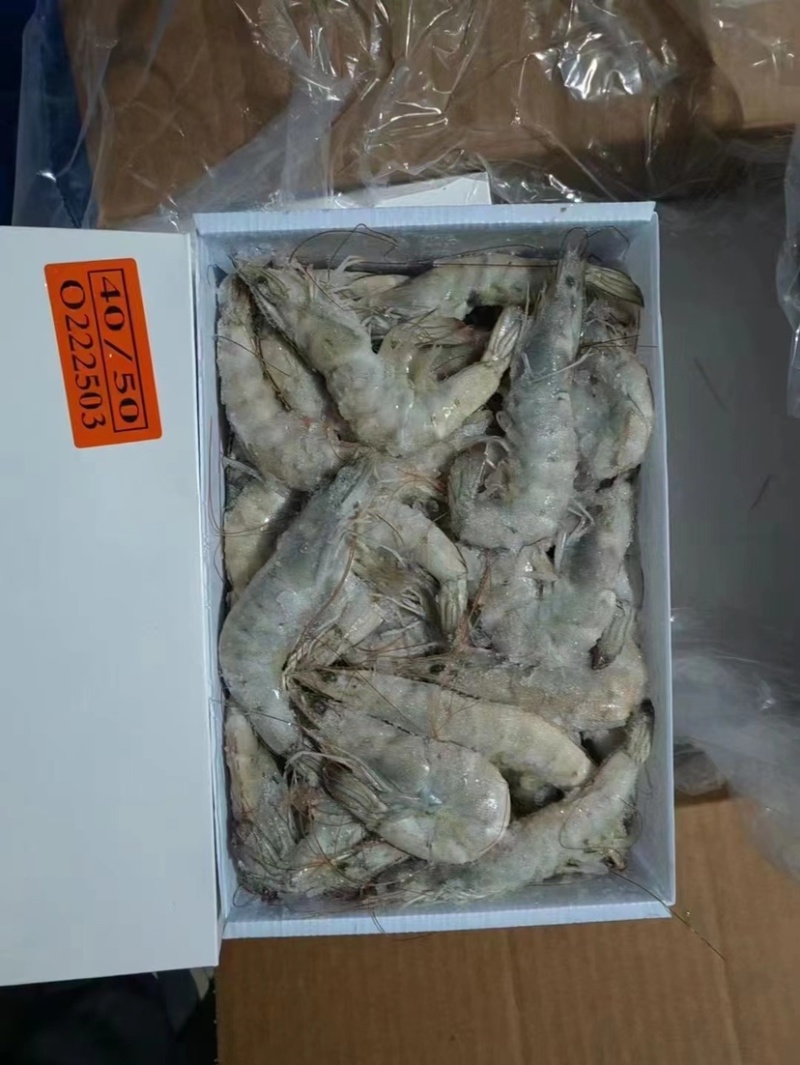 厄瓜多尔大虾20-30