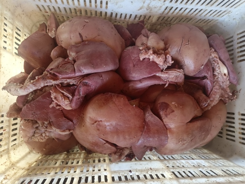 【羊副产品】河北河间育肥羊熟肝肺各类牛副羊副价格美丽