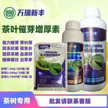 茶叶催芽增厚素催芽920出芽多抗寒嫩芽茶树叶面肥增产