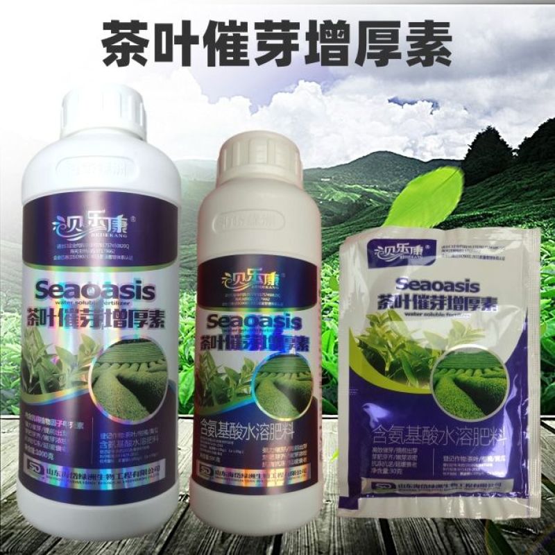 茶叶催芽增厚素催芽920出芽多抗寒嫩芽茶树叶面肥增产