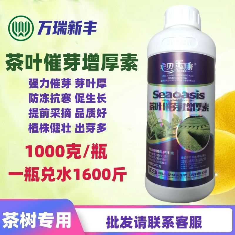 茶叶催芽增厚素催芽920出芽多抗寒嫩芽茶树叶面肥增产