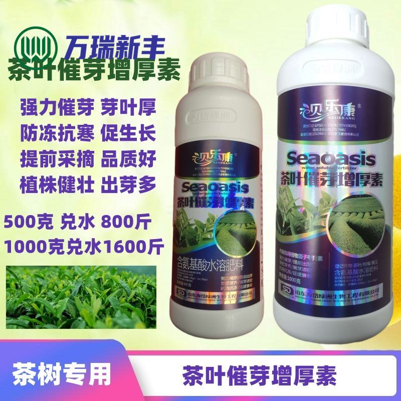茶叶催芽增厚素催芽920出芽多抗寒嫩芽茶树叶面肥增产