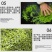 茶叶催芽增厚素催芽920出芽多抗寒嫩芽茶树叶面肥增产