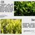 茶叶催芽增厚素催芽920出芽多抗寒嫩芽茶树叶面肥增产